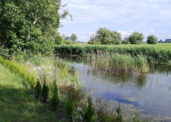 Sloneczna Przystan - Rumba